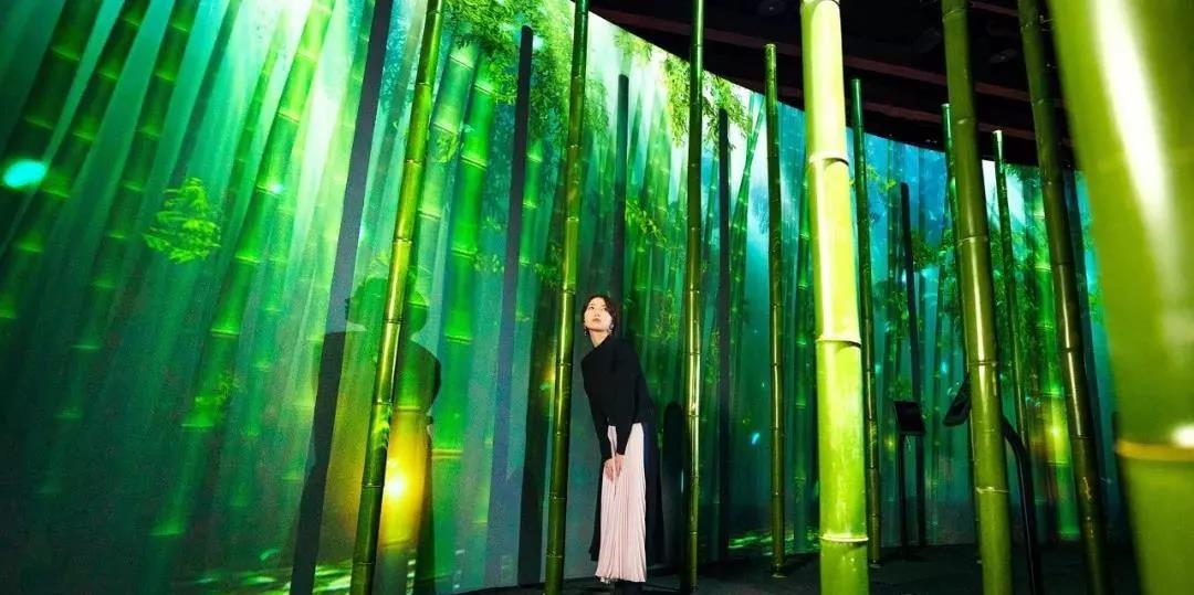 沉浸式的櫻花展覽策劃驚艷了廣大游客的目光，光影互動(dòng)太厲害了！