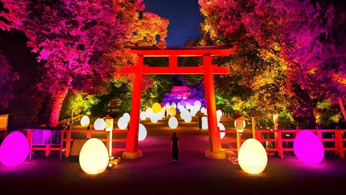 小伙伴們快看過來，TeamLab又帶新作品來世界遺產(chǎn)京都“下鴨神社”了