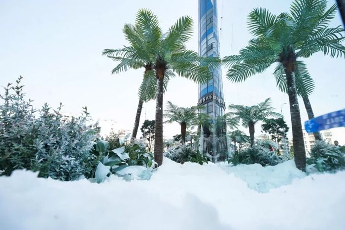 快閃店活動策劃暖了一生的陪伴，用一場22度的雪體驗(yàn)了白頭到老