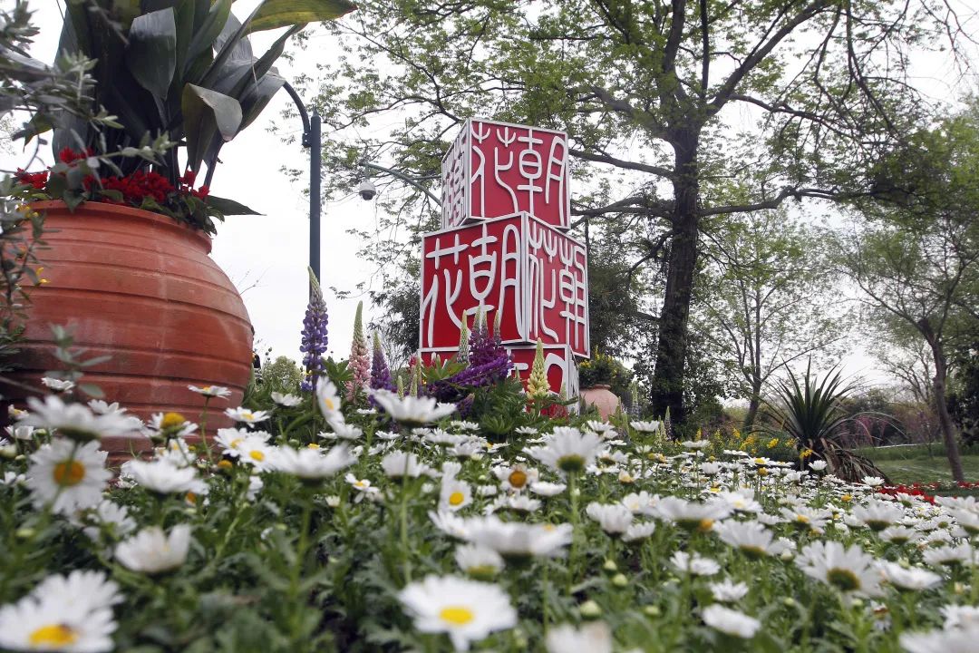 亂花漸欲迷人眼，全新西溪花朝節(jié)展覽活動(dòng)與你來(lái)一場(chǎng)春天的約會(huì)