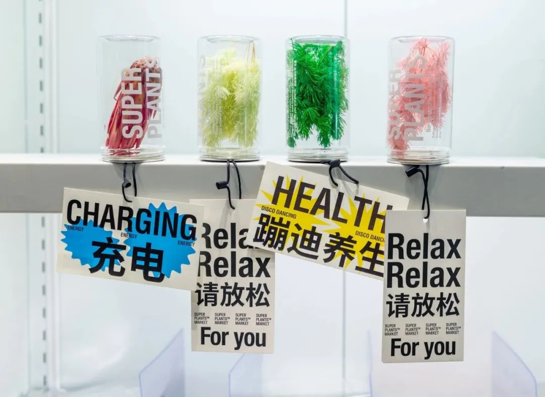 據說這次的“青松便利店”活動策劃能為生活靈感補充能量