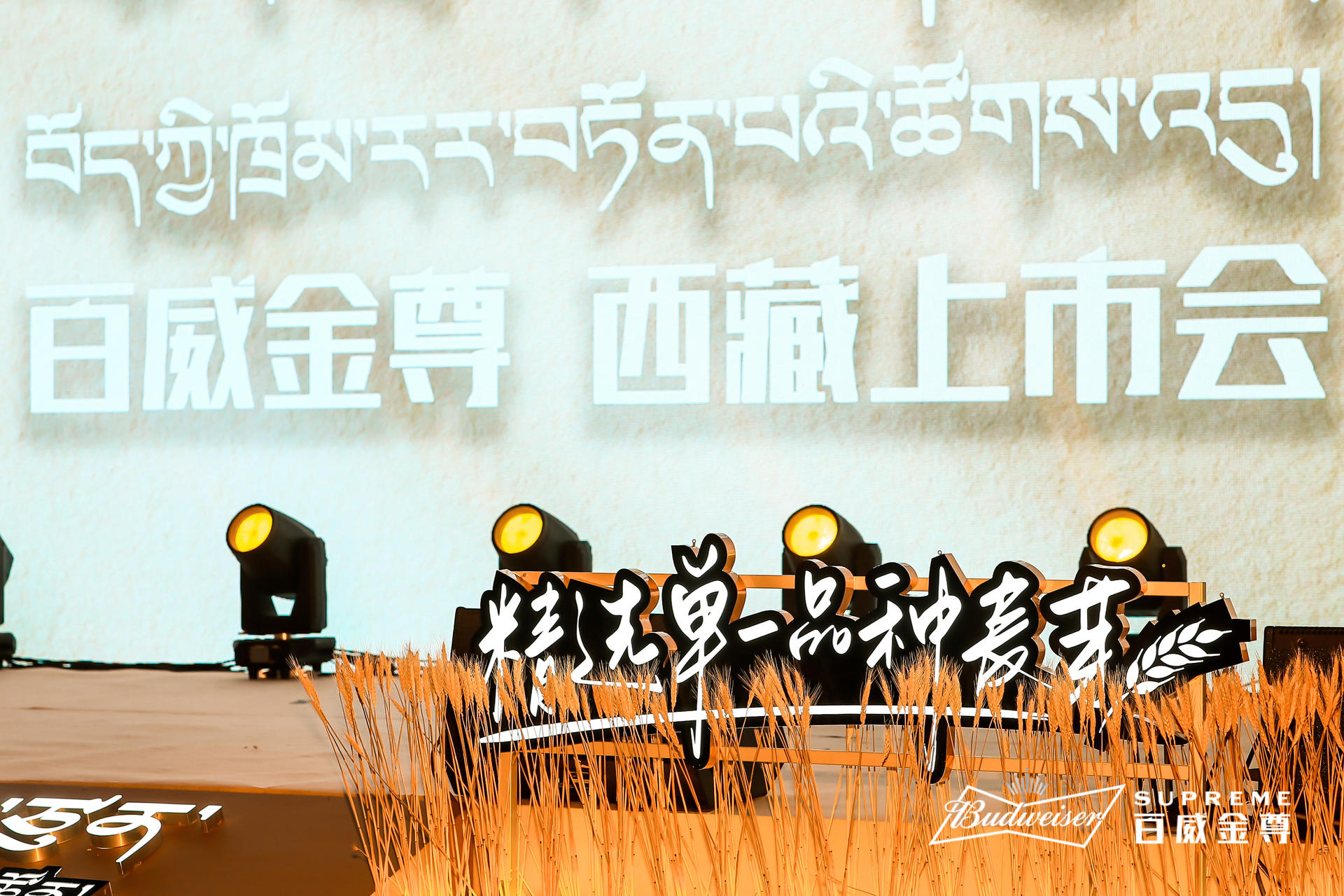 百威金尊西藏上市發(fā)布會活動策劃用心定制，現(xiàn)場麥芽裝飾盡享豐收