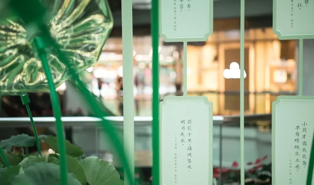 廣州天河城26周年全真荷花主題展覽活動策劃打造了一片新奇的消暑之地 - 第4張 - 會展活動策劃CCASY.COM 廣州天河城26周年全真荷花主題展覽活動策劃打造了一片新奇的消暑之地 - 第4張